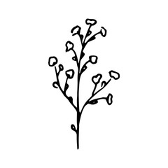 Cute single hand drawn herbal elements. Doodle vector illustration for wedding design, logo and greeting card. Traditional hand drawn spring flowers in ink style.