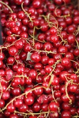 Ripe red currants on the market macro