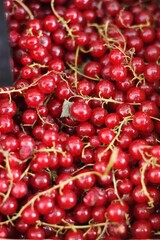 Ripe red currants on the market macro