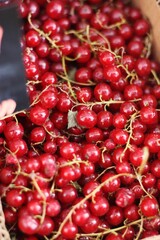 Ripe red currants on the market macro