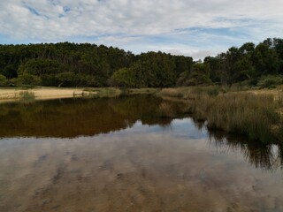 Fototapeta na wymiar Beautiful view of trees and blue cloudy sky reflected on small lagoon, Royal National Park, New South Wales, Australia