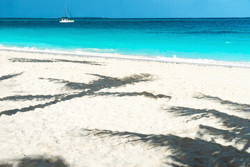 Fototapeta na wymiar Panoramic view of a beautiful sunny day and palm sadow on sandy beach.