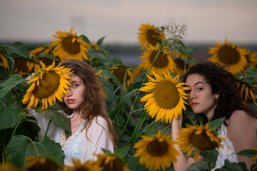 Beautiful young girls posing together at sunset in a sunflower field