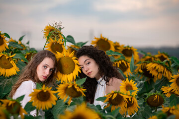 Beautiful young girls posing together at sunset in a sunflower field