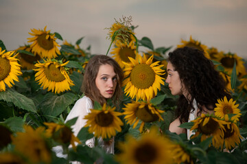 Beautiful young girls posing together at sunset in a sunflower field