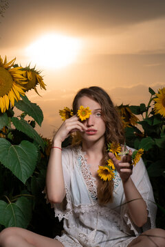 Beautiful young girl posing in a sunflower field at sunset 