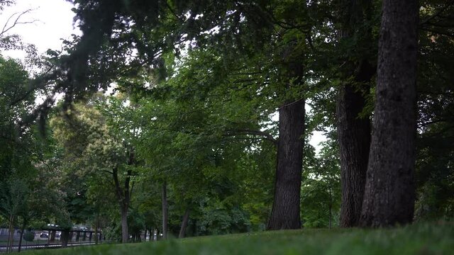 Naturaleza