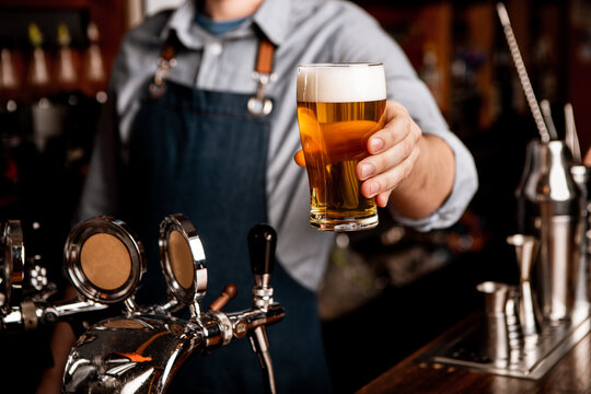 Brewer and Bartender in pub. Man in apron gives glass of light beer with foam