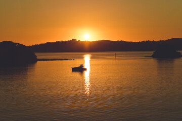 Naklejka premium Sunrise in Paihia, bay of islands, northland, New Zealand