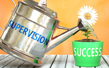 Supervision helps achieve success - pictured as word Supervision on a watering can to show that it makes success to grow and it is essential for profit in life, 3d illustration - obrazy, fototapety, plakaty