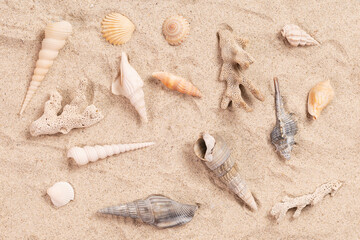 Fototapeta na wymiar 夏のイメージ砂浜の貝殻