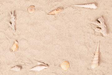 Fototapeta na wymiar 夏のイメージ貝殻フレーム砂浜の貝殻