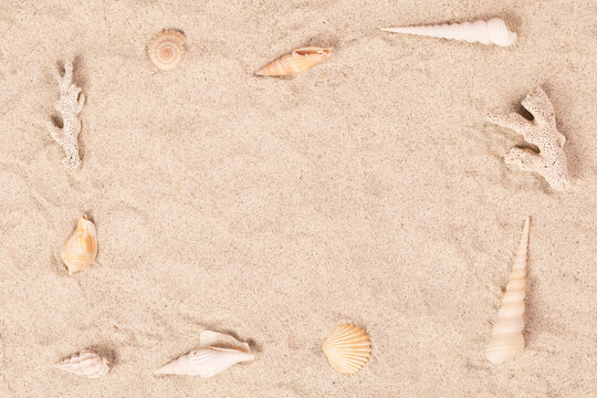 夏のイメージ貝殻フレーム砂浜の貝殻