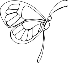 Isolated summer insect. Butterfly. Vector EPS 10. Black and white, elements for floral season design. Hand drawn.