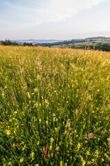 Kwietna łąka na wzgórzu © Sławomir Bodnar