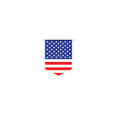 USA  flag vector. National Simple The United States of America flag