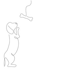 Dog play with toy. Beagle puppy. Vector illustration