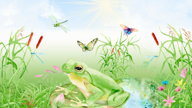watercolor illustration with a pond, reeds, dragonflies and butterflies, frog