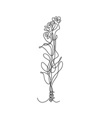 Continuous line drawing of rose flowers, hand drawn vector one line continuous drawing of flowers