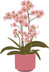 The Flower Pink Orchid in a Pot Flat Illustration