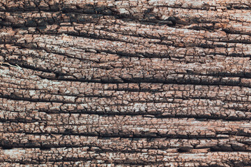 The old wooden patterned background has faded from the sun and the weather for a long time.