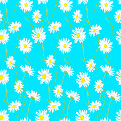 Seamless pattern with white chamomile flowers on blue background, medicinal plant. Hand drawn. For gift wrap, book covers, textile, wallpapers, scrapbook.
