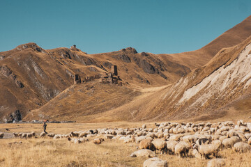 death valley national park