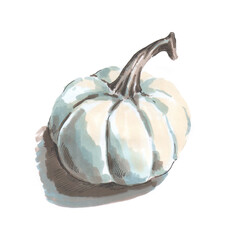 Blue pumpkin hands drawn markers illustration of blue cold drawing isolated on white background. Halloween theme.