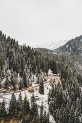 snow covered mountains