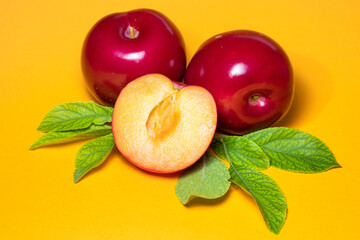 Plum fruit with plum leaf on a yellow background