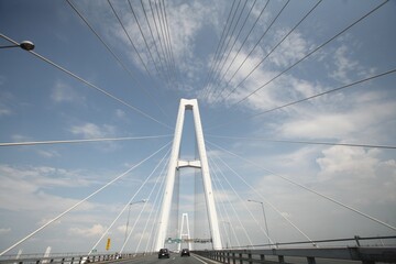 Fototapeta premium 橋, 建築, 空, ケーブル, 川, 青, 一時的中止, シティ, 建造, 道, 水, 仕組み, 旅行, はがね, 交通, ランドマーク, ケーブル, アーバン, ロッテルダム, エンジニアリング, トラフィック, 運送, コンクリート, ハイウェイ