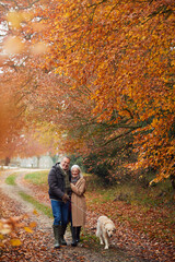 Loving Senior Couple Walking With Pet Golden Retriever Dog Along Autumn Woodland Path Through Trees