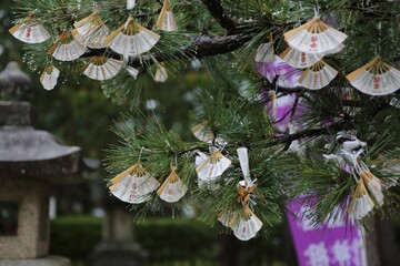 自然,  庭, とぶ, 植える,  植物, 緑, 雨, 日本, 水, 紫, 美しさ, フローラル, 美しい, ウィルト,  葉, すごい, 木