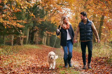 Loving Couple Walking With Pet Golden Retriever Dog Along Autumn Woodland Path Through Trees