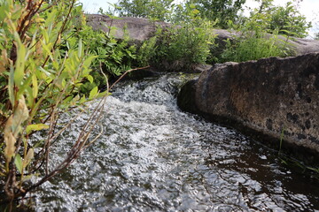 stream in the forest