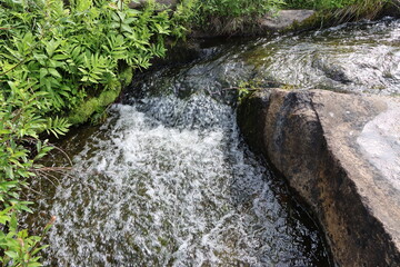 waterfall in the forest