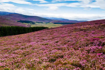 Picturesque road in Scottish Highlands, Cairngorm National Park near Lecht Ski Resort, Scotland,...