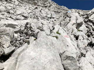 Alpine hiking trail up to Säntis, between Wildhauser Schafberg and Rotsteinpass. Alpine Trail from Wildhaus to Säntis via Gamplüt, Rotsteinpass and Lisengrat.