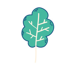 ecology nature leaf foliage icon