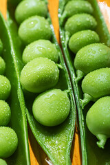 Pea seeds in pods in drops of water close-up, macro photo. The concept of summer, pea crop, healthy vitamin food.