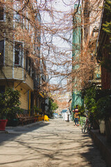 Karakoy streets