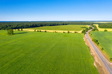 Naklejka premium Asphalt road near summer forest and field with trees. Wild nature