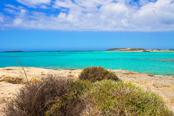 Rocky shore with bashes, turkuoise sea and clouds in blue sky.