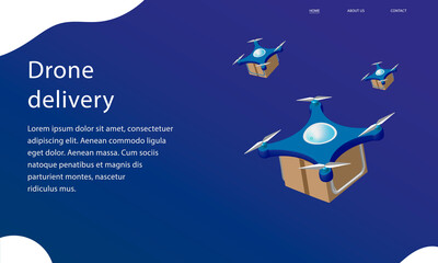 Drone delivery srevis isometric, landing page