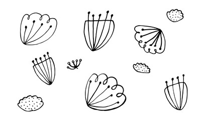 Collection of hand drawn flowers heads. Doodle illustration. Simple floral elements isolated on white background