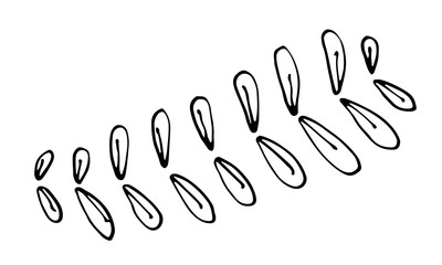 Collection of hand drawn leaves. Doodle illustration. Simple floral elements isolated on white background