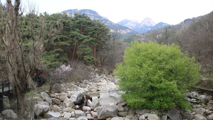 river in the mountains