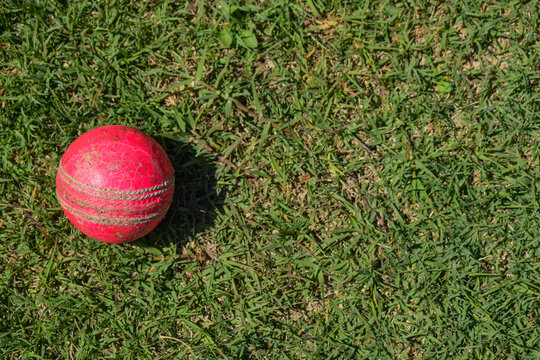 cricket ball on green grass. 