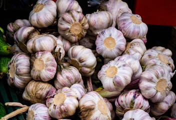 Young fresh garlic is put up for sale in the market.