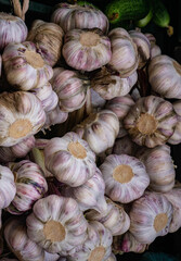 Young fresh garlic is put up for sale in the market.